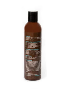 Back2Natural HydroBalance Shampoo 8oz -Wavy Hair Shop B2N Hydra Balance Back 29708.1686242483