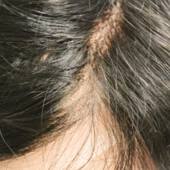 HD105 8"x 10" French Lace Mens Hairpiece -Wavy Hair Shop HD105 12 81451.1659539204