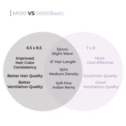 Mens Toupee M100 Basic 7"x 9" Mono Top Hairpiece - Basic Version -Wavy Hair Shop M100B 2 48883.1641484554
