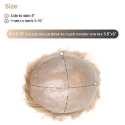 P41LBSC14 Skin Base Remy Human Hair Topper For Women -Wavy Hair Shop P41LBSC 82811.1669671989